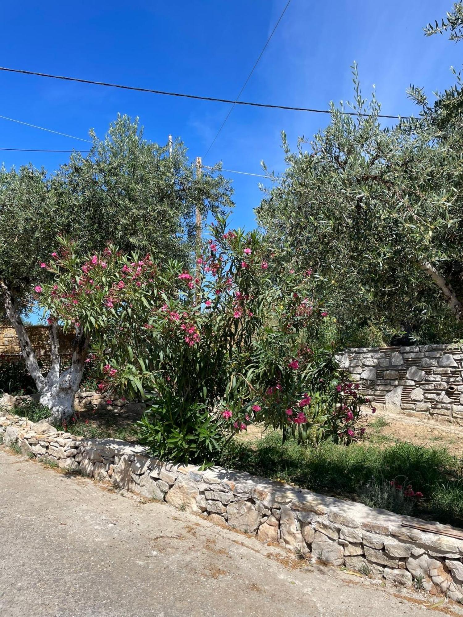 Terra Olivo Apartments Koroni  Exterior photo